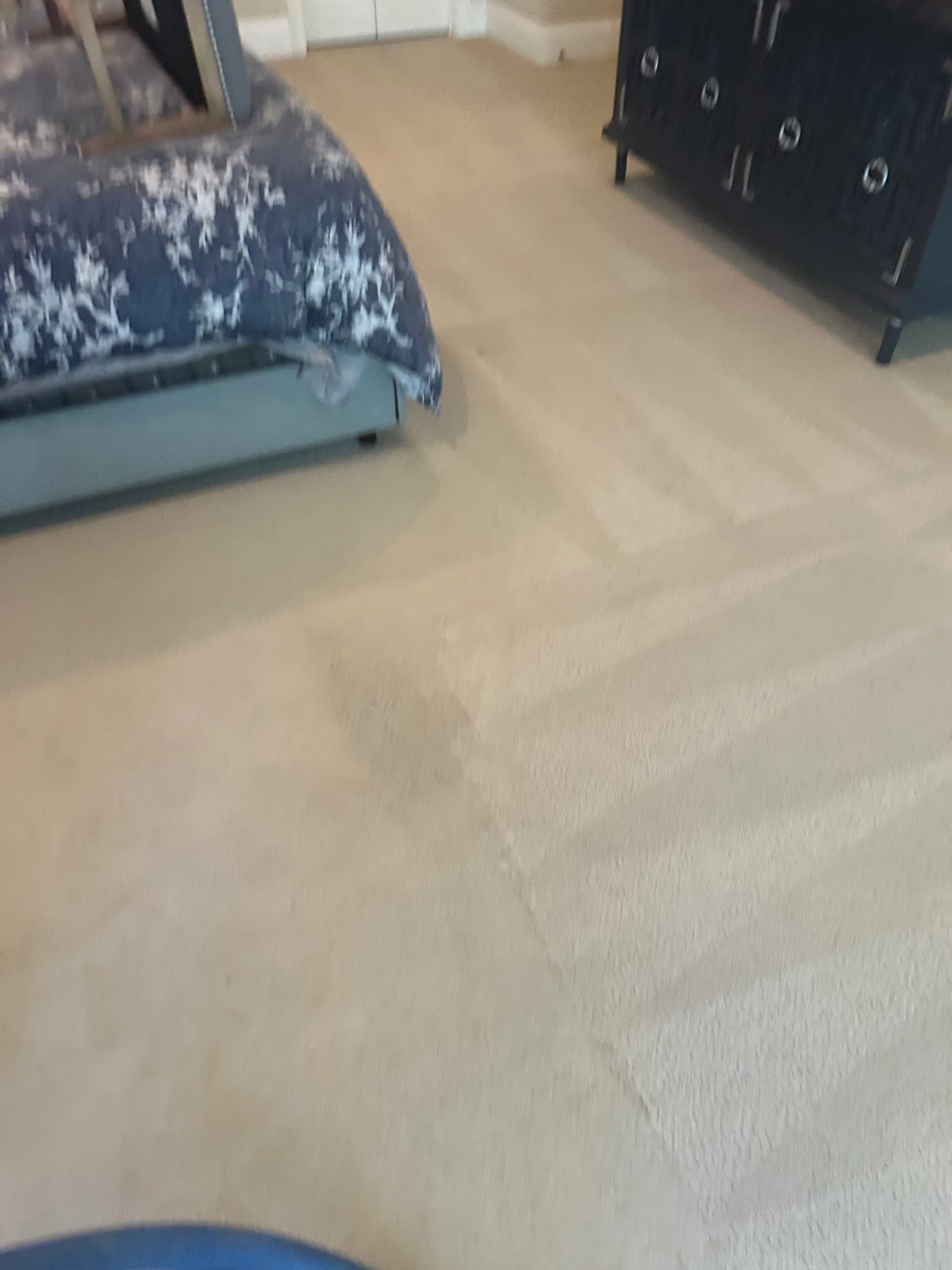 beige bedroom carpet wand strokes navy floral bedding black