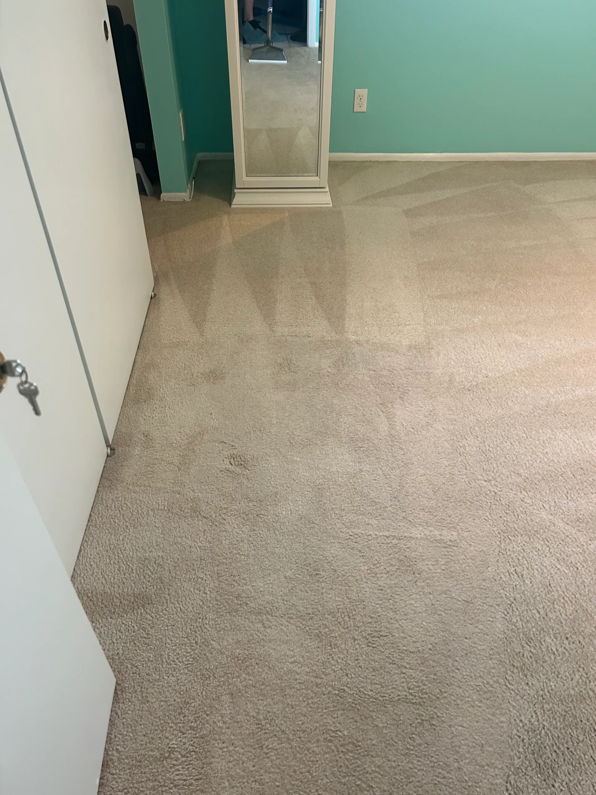 beige bedroom carpet wand strokes teal wall mirror