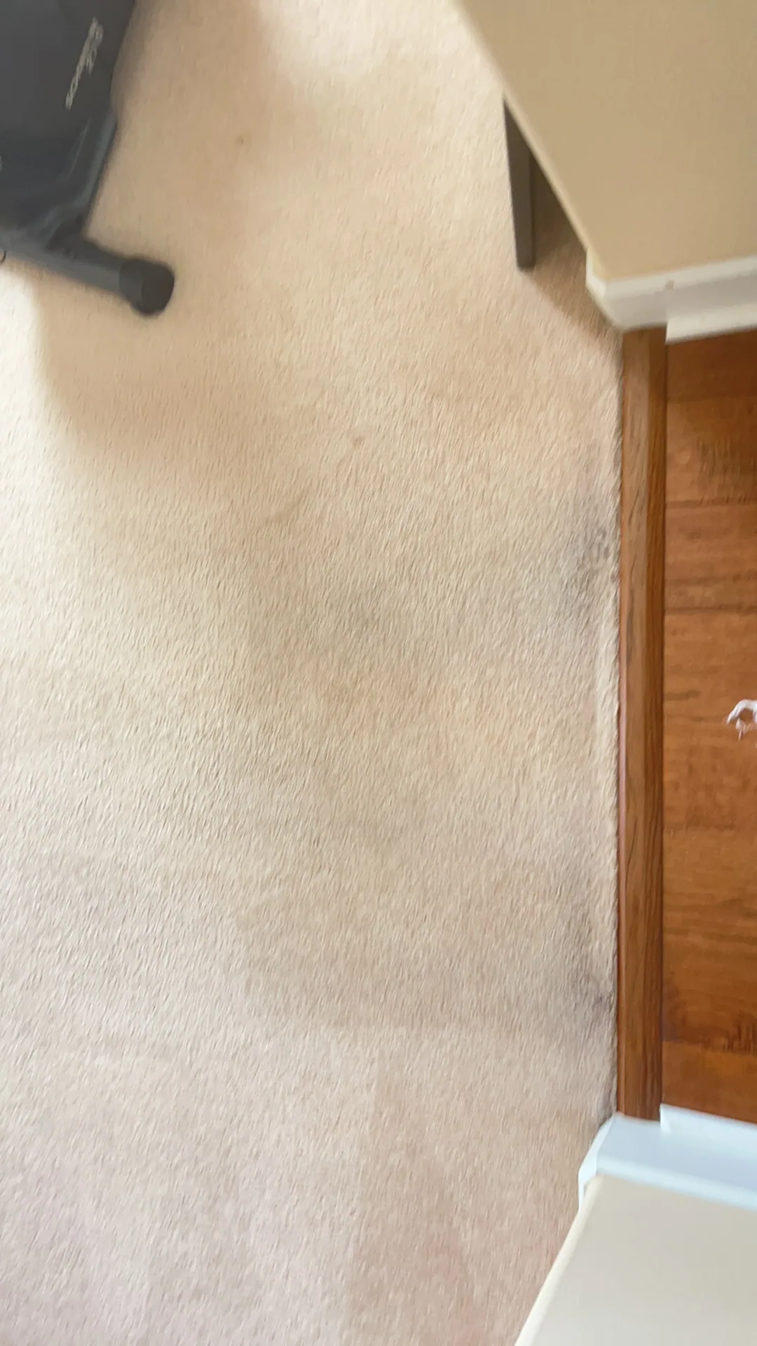 beige carpet oak door threshold