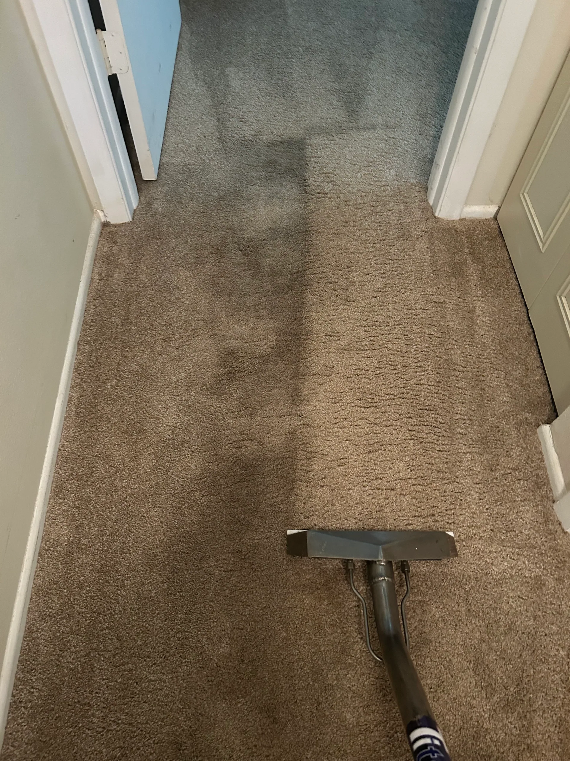 brown hallway carpet half cleaned wand doorways