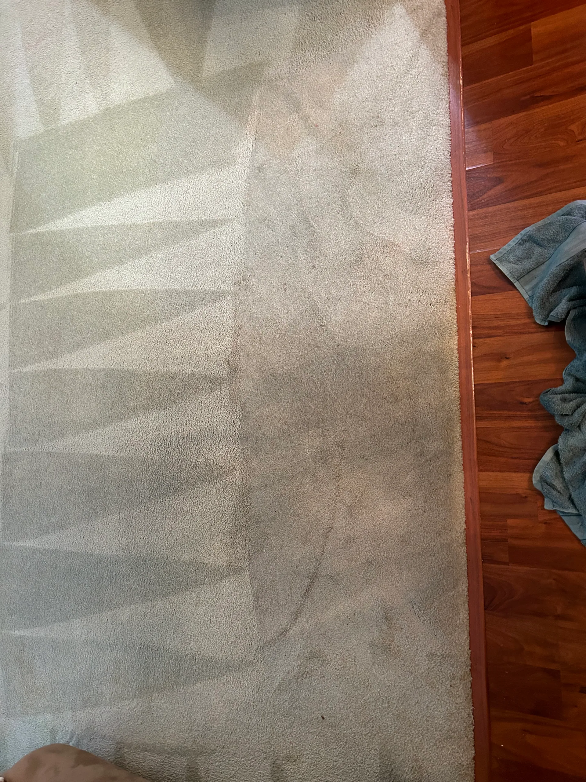 cream carpet fan wand marks hardwood edge