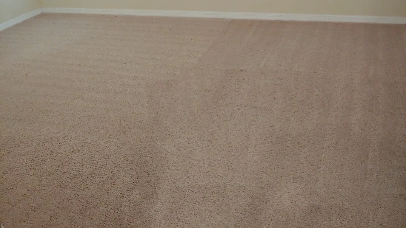 empty room taupe carpet diagonal wand strokes corner baseboa