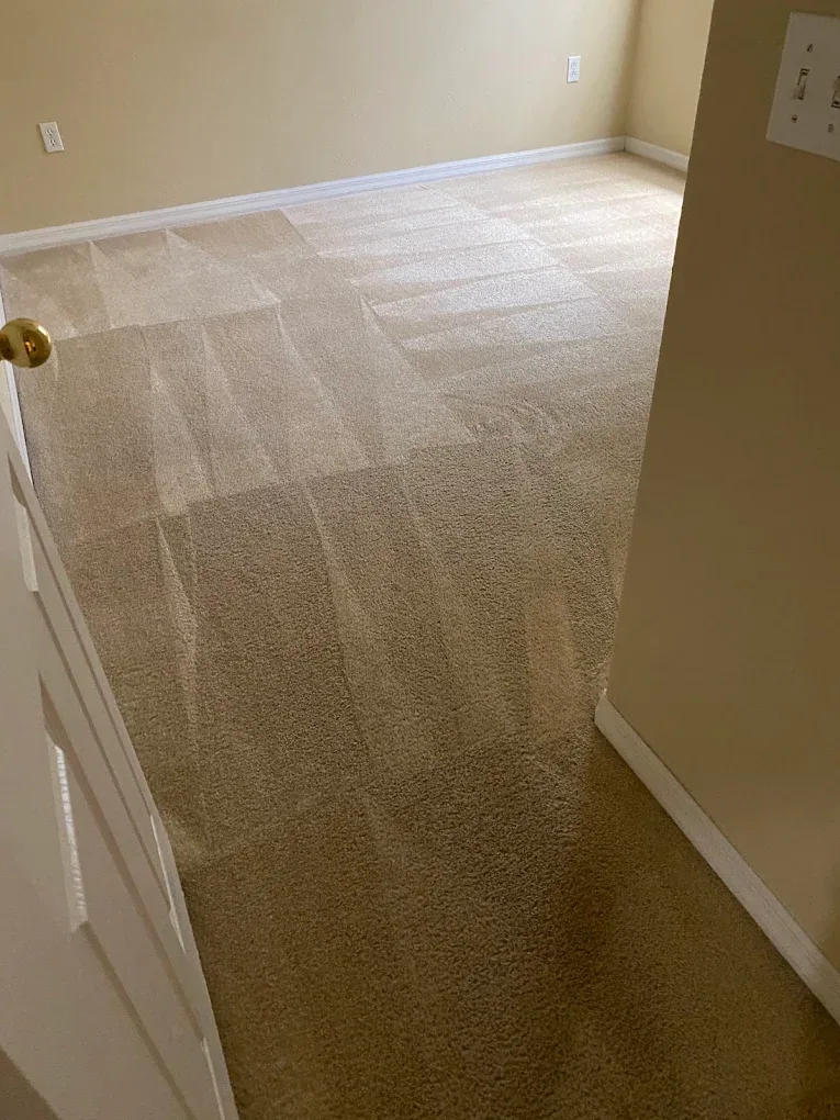 empty tan bedroom carpet checkerboard wand strokes brass doo