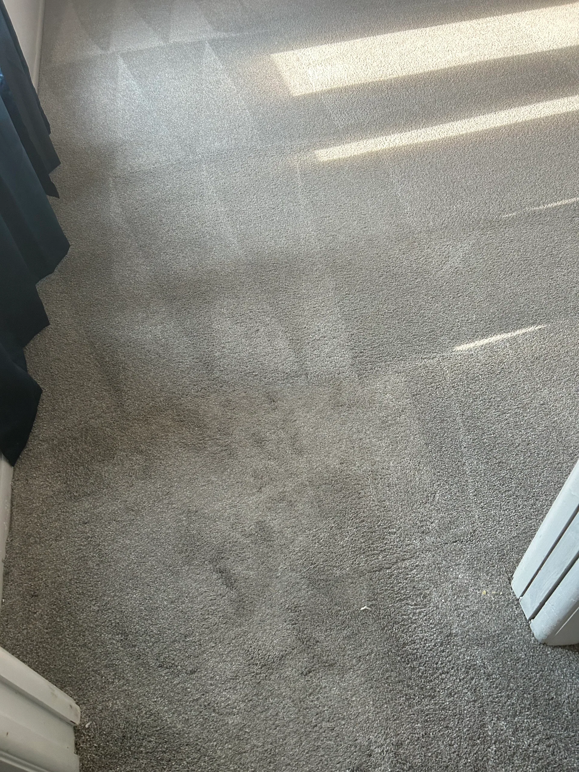 gray bedroom carpet sunlight navy curtain white door casing