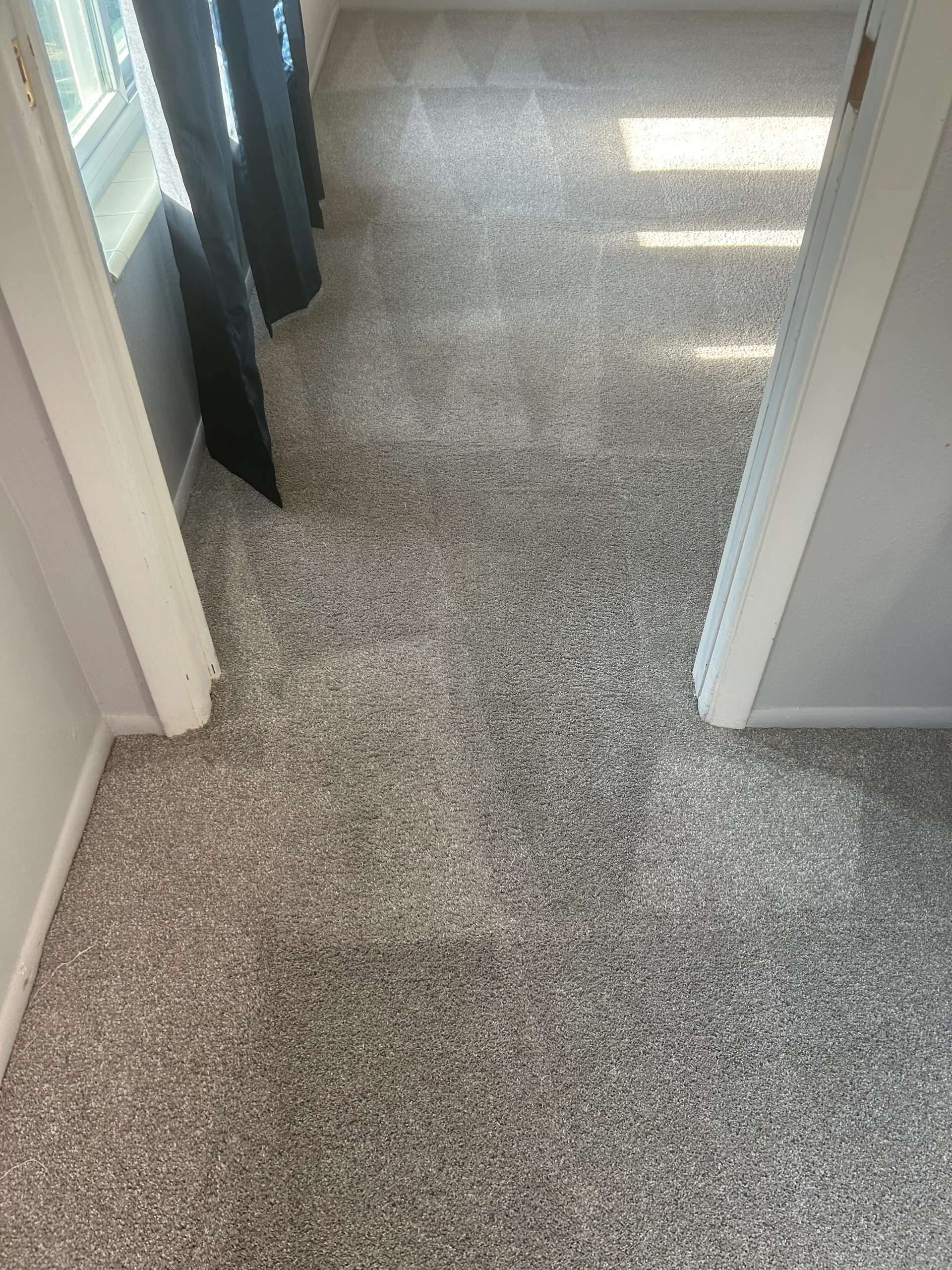 gray carpet doorway wand marks sunlight dark curtains ofallo