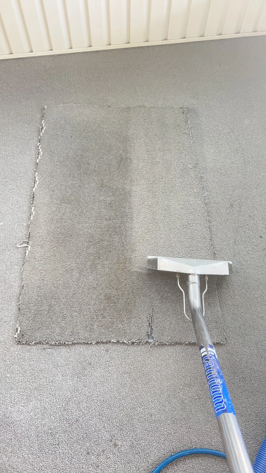 gray carpet rectangle patch half cleaned titanium wand