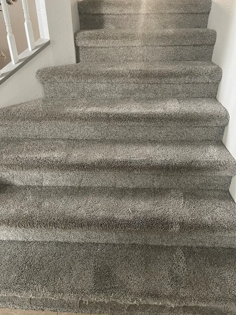 gray frieze carpeted stairs white baluster railing dardenne