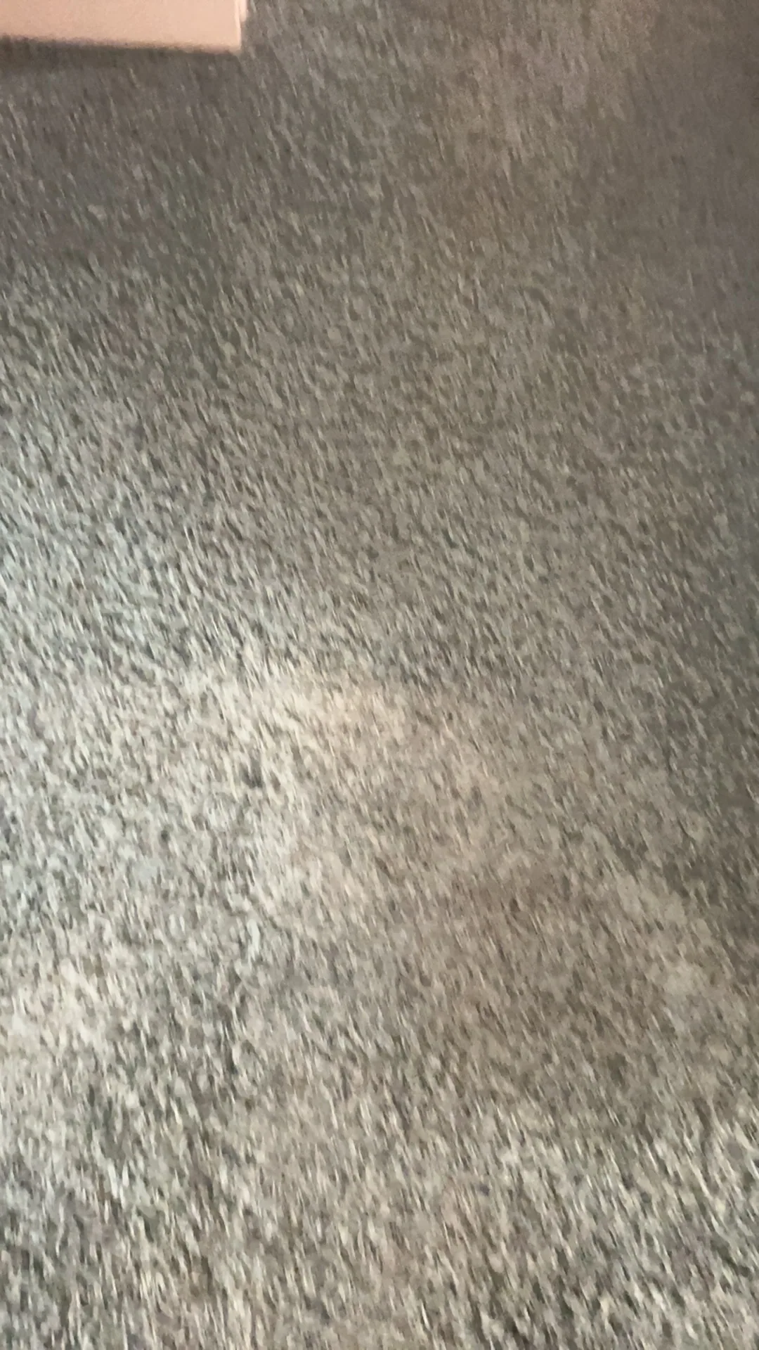 gray speckled carpet light worn patch closeup weldon spring