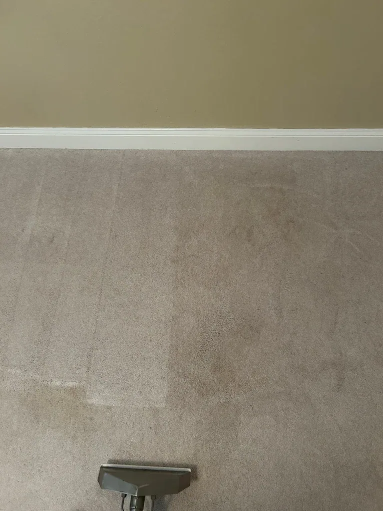 greige carpet half cleaned wand head bottom edge tan wall wh