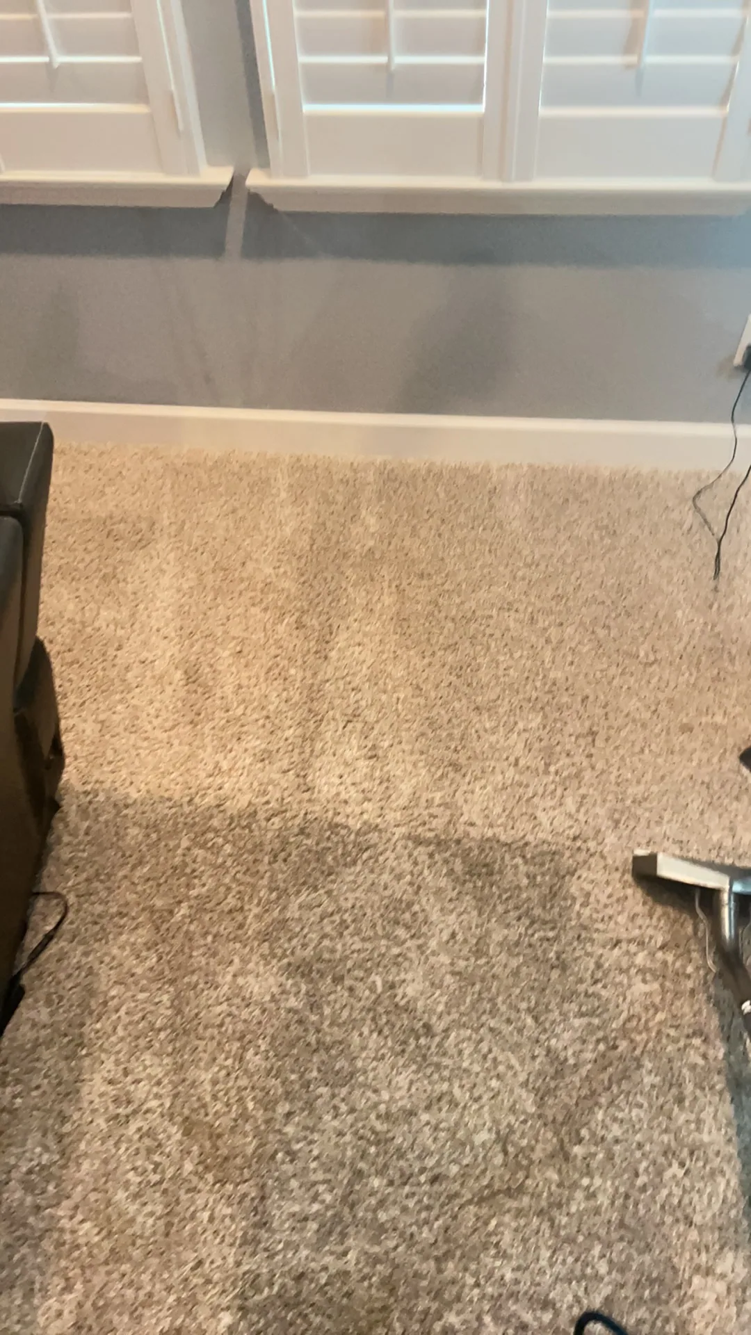 half cleaned beige carpet white plantation shutters gray wal