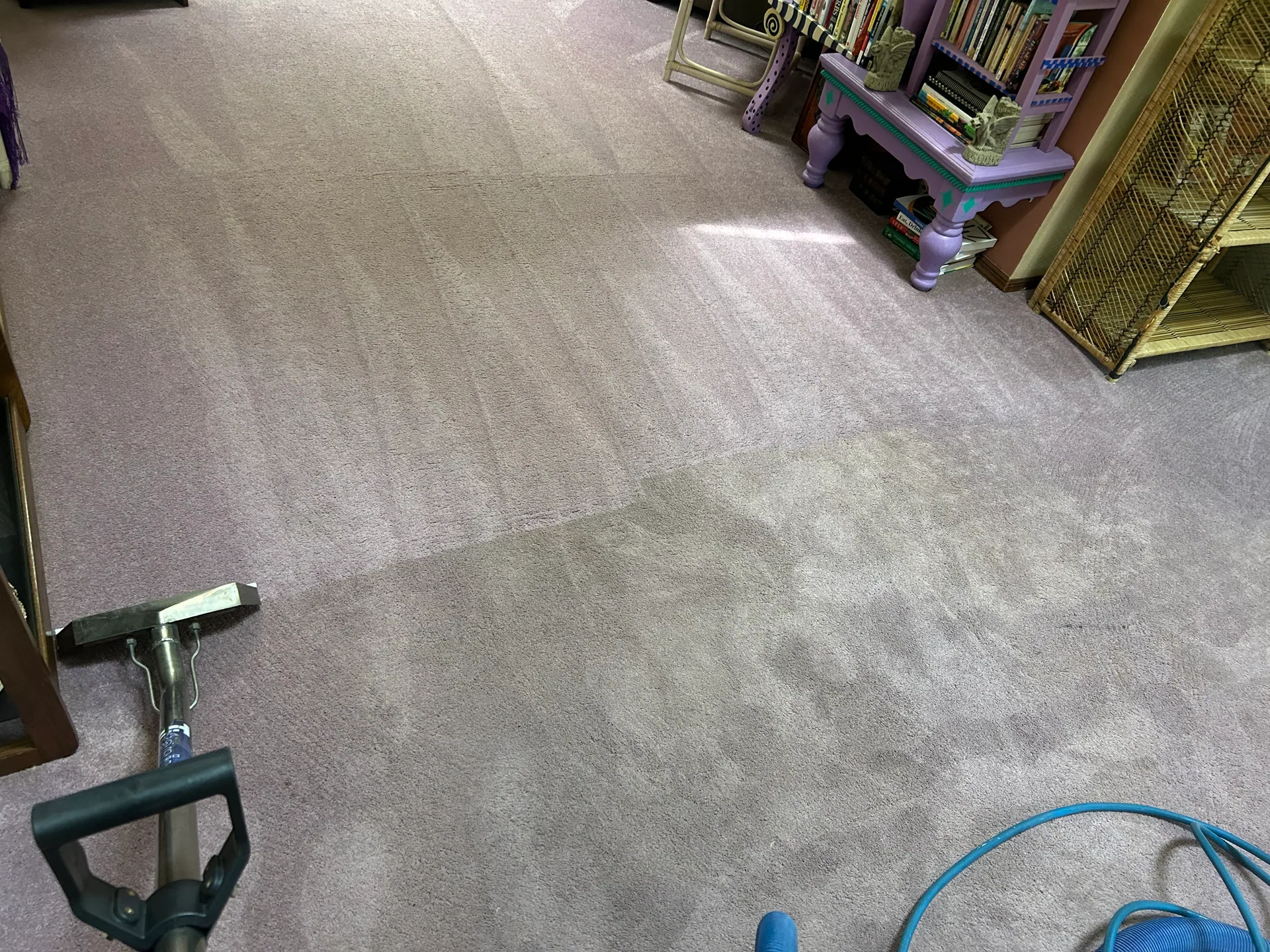 mauve carpet half cleaned purple bookshelf
