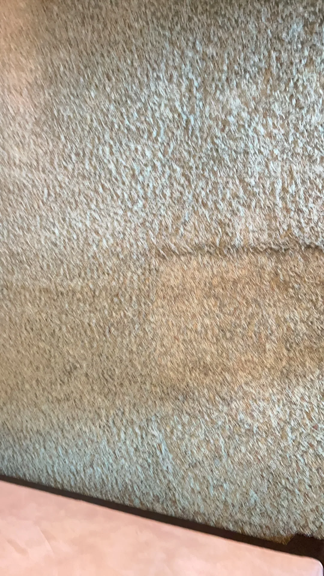 speckled tan carpet soiled patch closeup