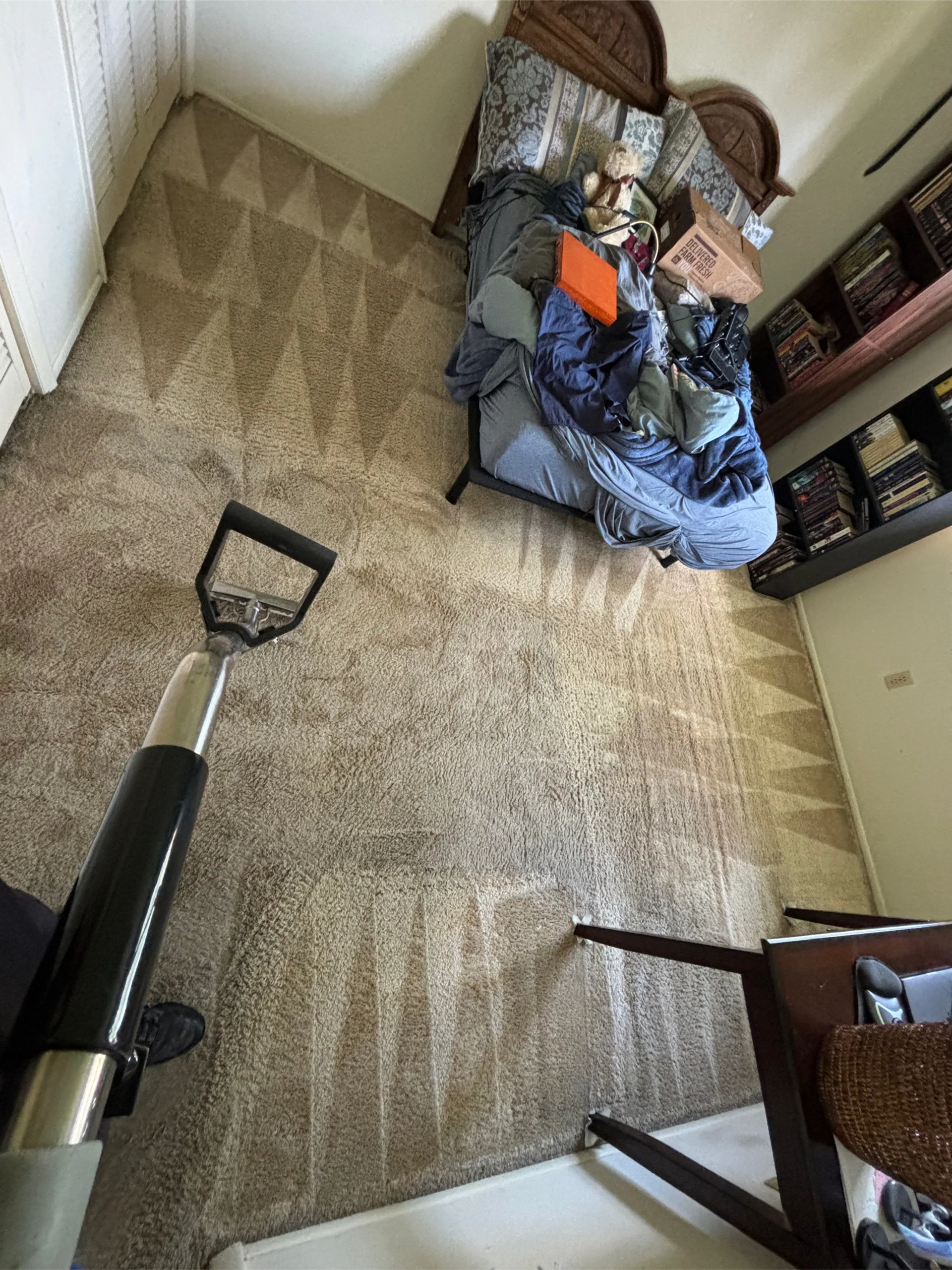 tan carpet bedroom wand strokes bookshelf