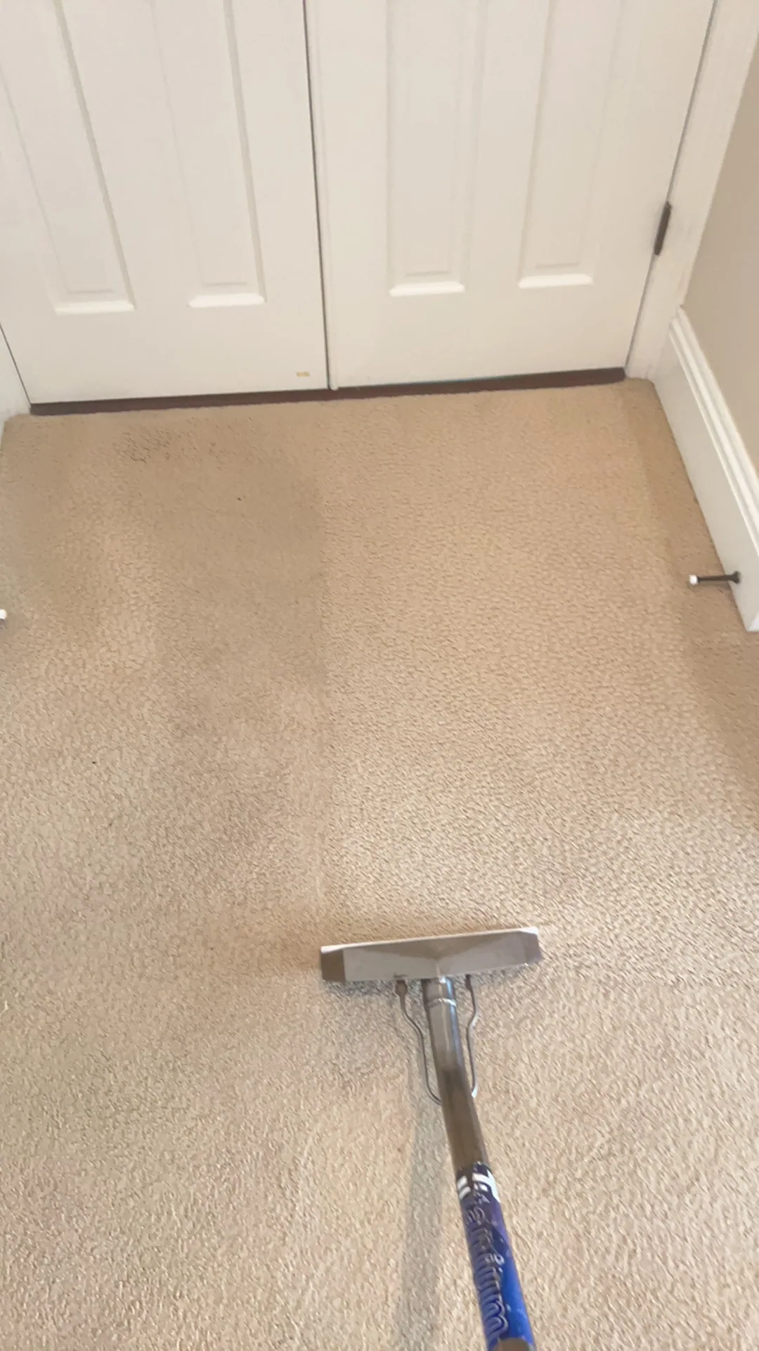 tan carpet half cleaned wand white bifold closet doors