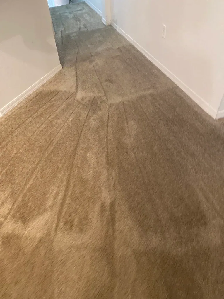 tan carpet wand strokes doorway outlet white baseboards went