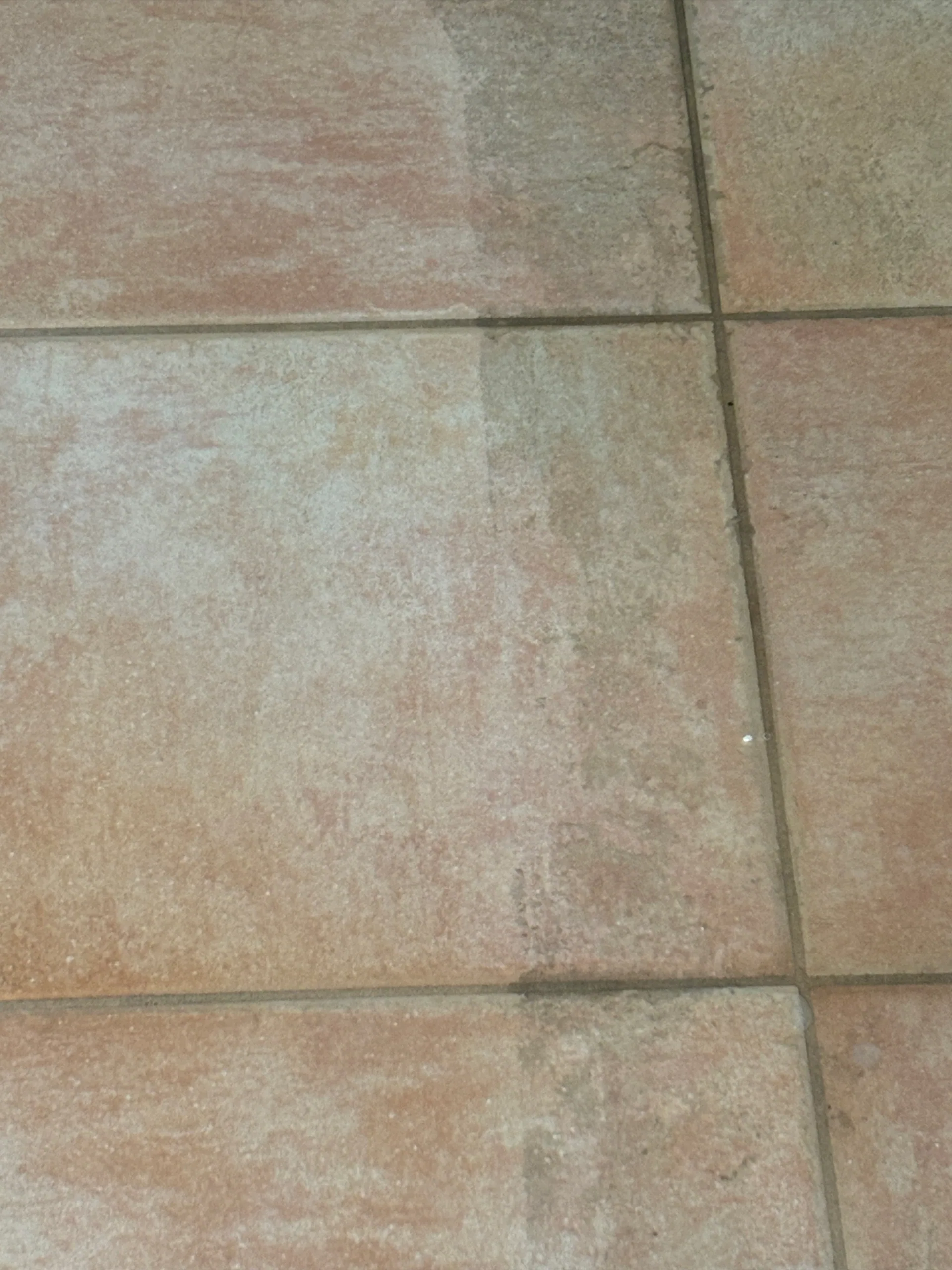terracotta tile half cleaned dividing line closeup dardenne