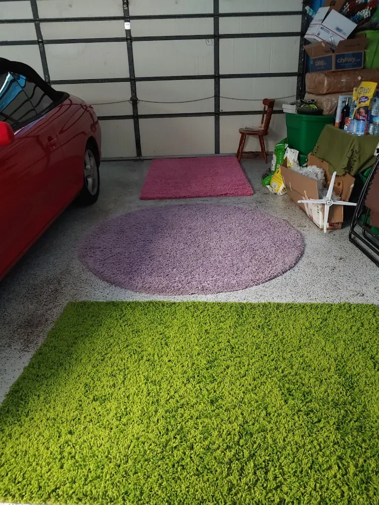 three shag area rugs lime lavender pink garage red convertib