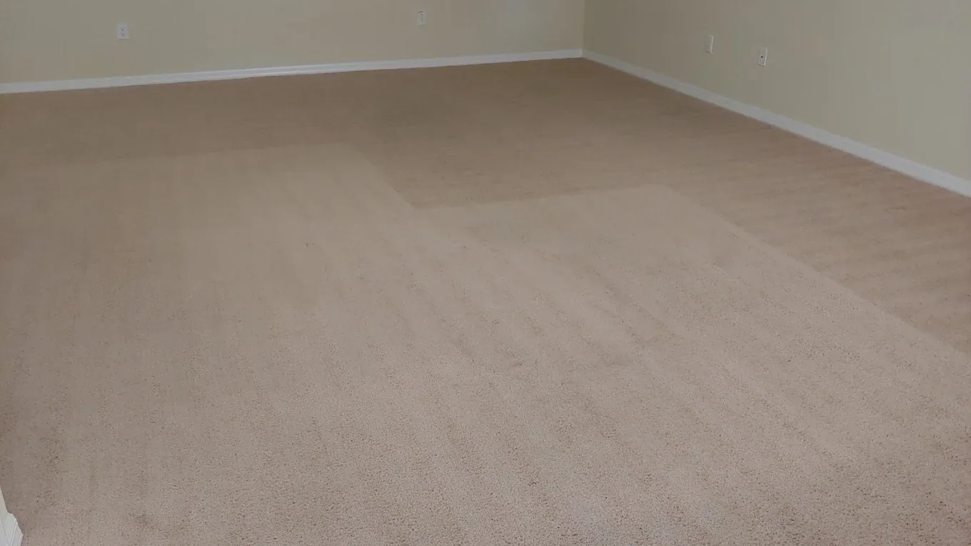 wide empty room beige carpet parallel wand lines pale yellow