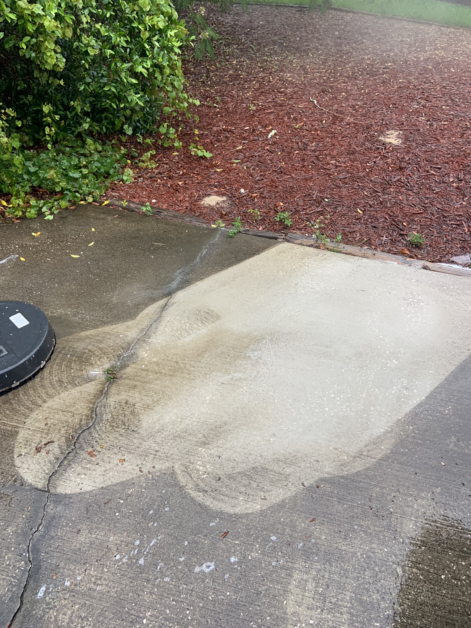 Pressure Washing Near Palm Harbor Florida